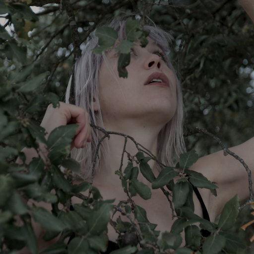 免费观看视频污污污污
